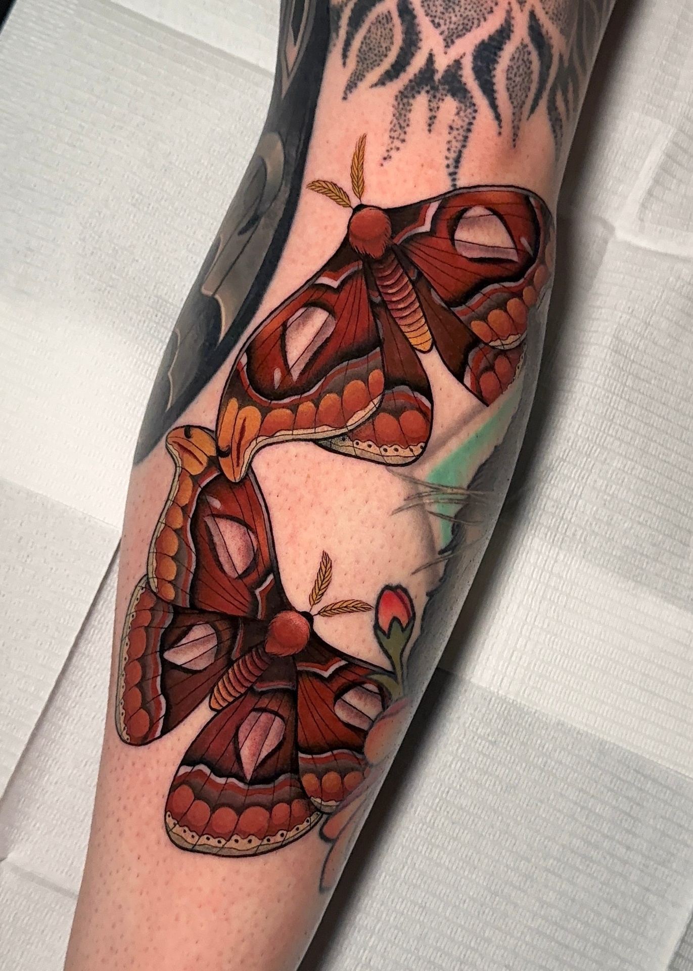 Twin Moths