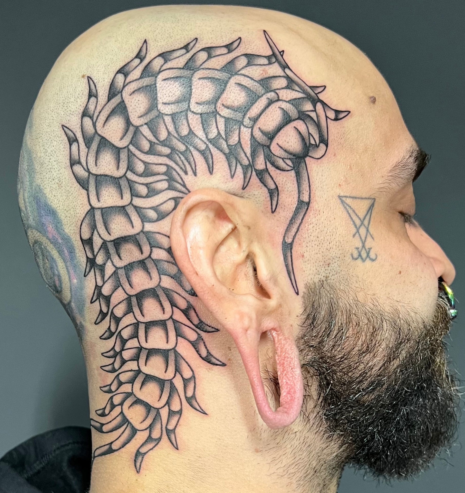 Centipede